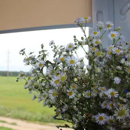 Guest house Scarlet Flower *